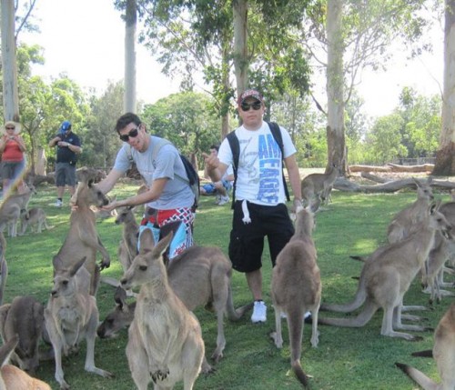 LSI Brisbane